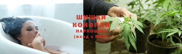 ешки Богданович